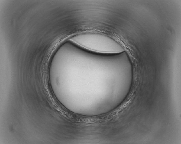 X0000110960241200906191055