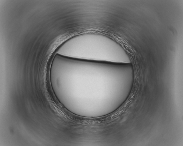 X0000110960242200906191055