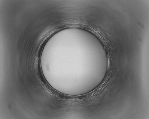 X0000110960243200906191056