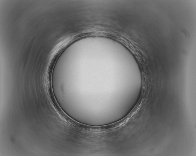 X0000110960245200906191056