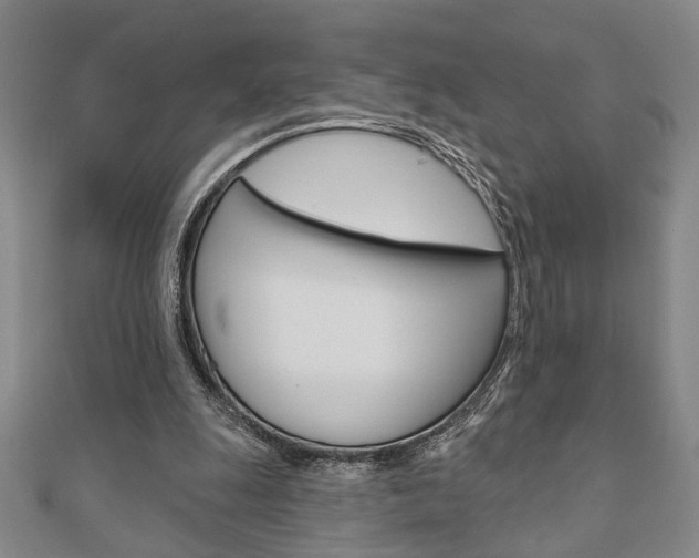 X0000110960247200906191056