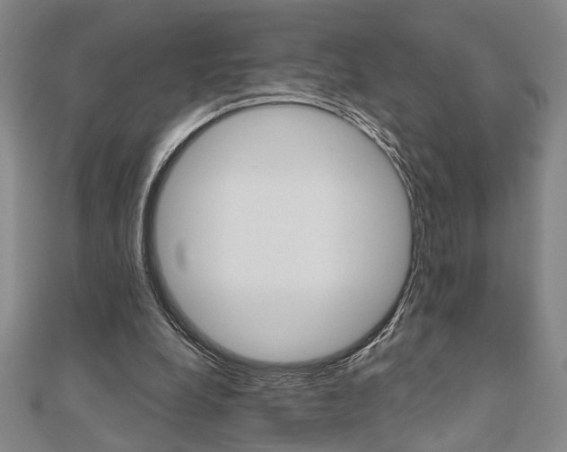 X0000110960248200906191056