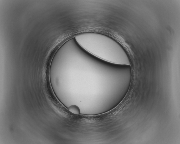 X0000110960250200906191056