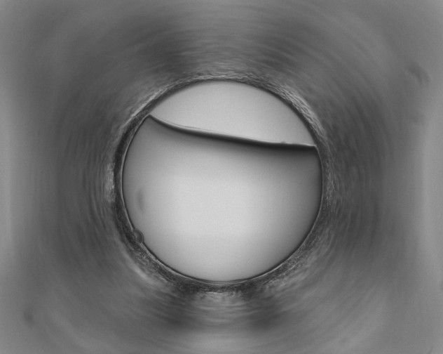 X0000110960251200906191056