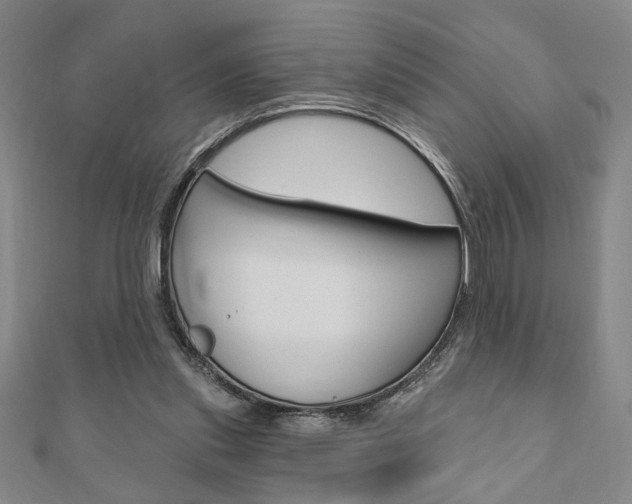 X0000110960253200906191056