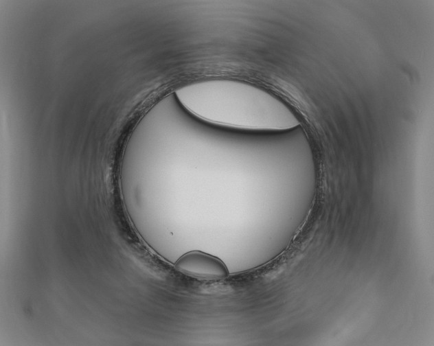 X0000110960258200906191056