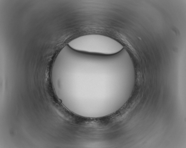 X0000110960259200906191056