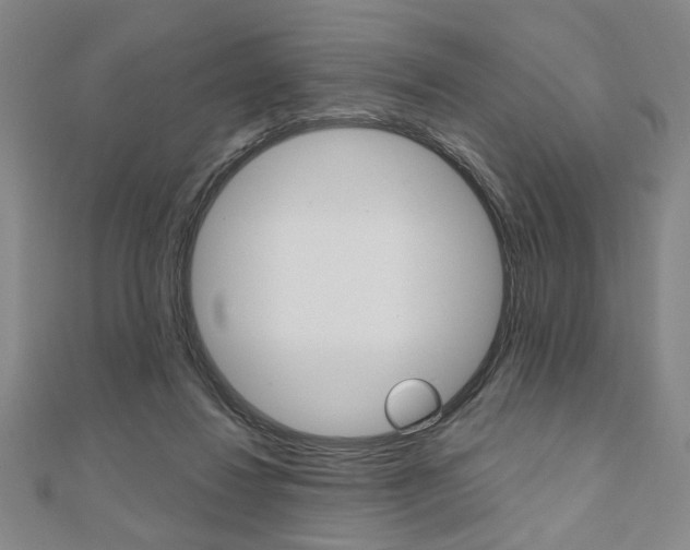 X0000110960260200906191056