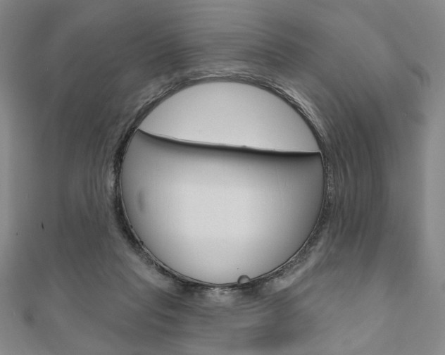 X0000110960261200906191056
