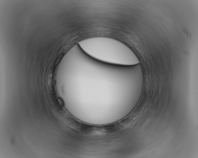 X0000110960263200906191056