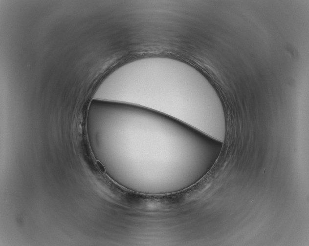 X0000110960264200906191056