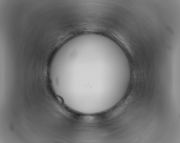 X0000110960265200906191056