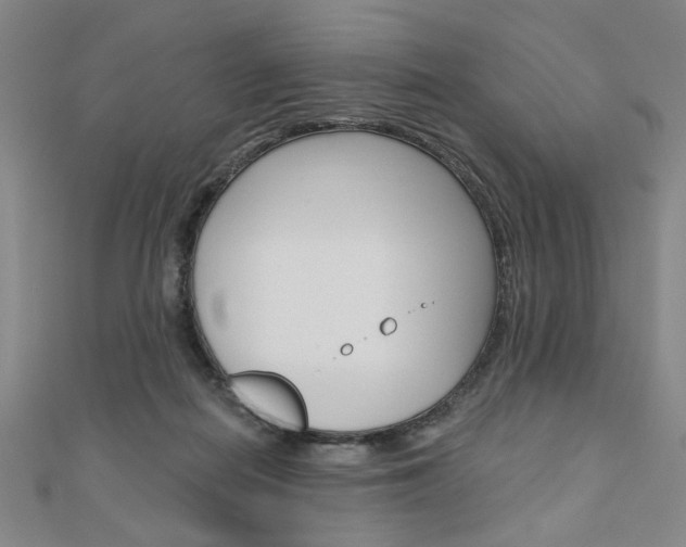 X0000110960266200906191056