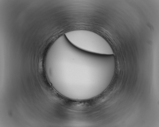 X0000110960267200906191056