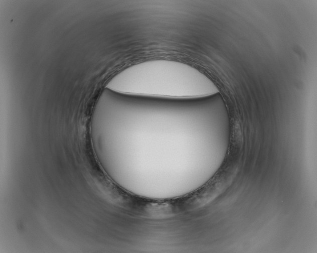 X0000110960271200906191056