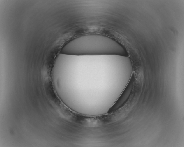 X0000110960272200906191056