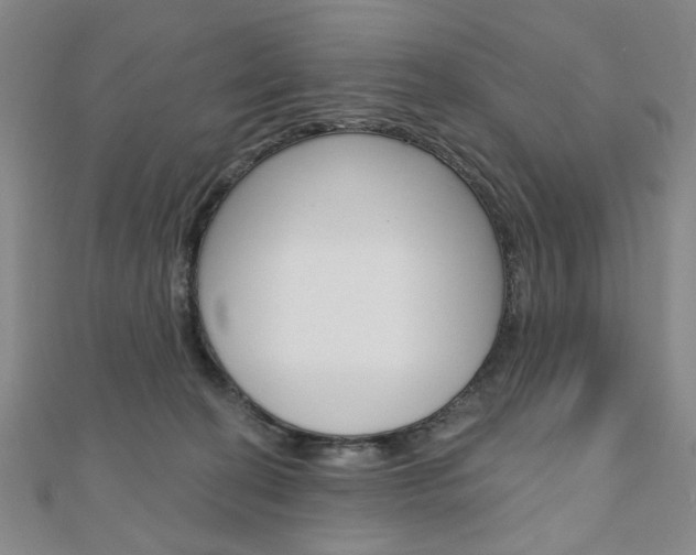 X0000110960274200906191056