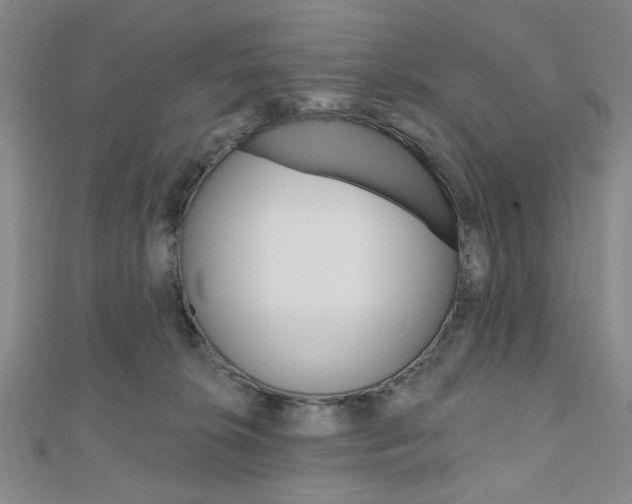 X0000110960276200906191056
