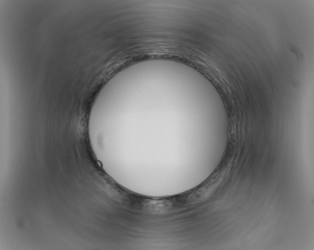 X0000110960277200906191056