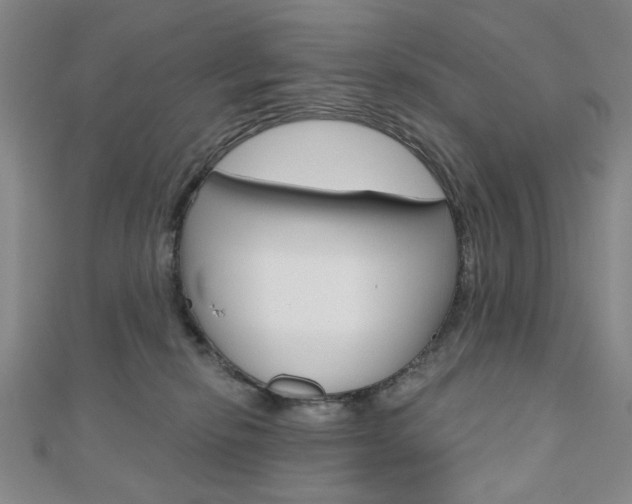 X0000110960278200906191056