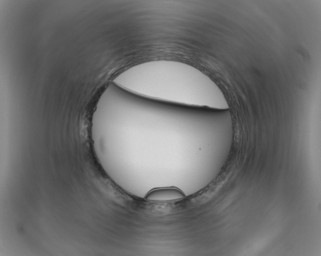 X0000110960282200906191056