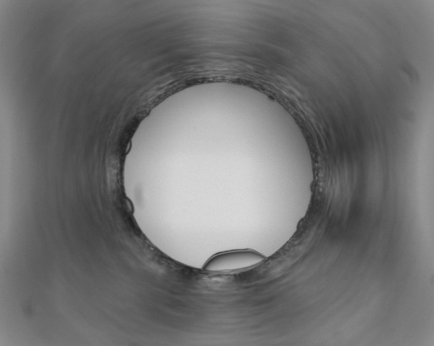 X0000110960283200906191056