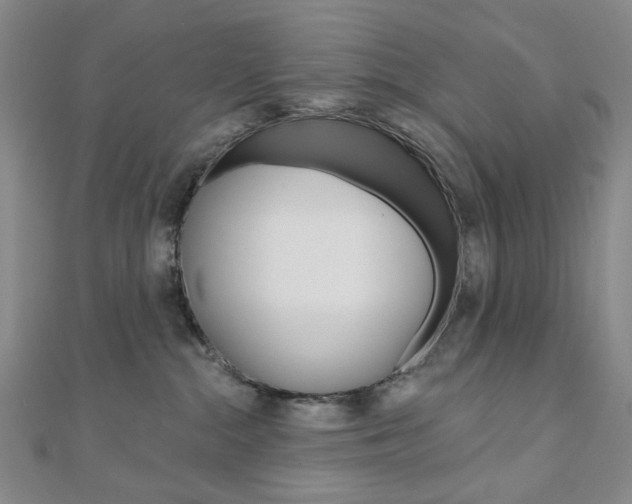 X0000110960284200906191056
