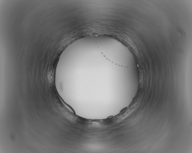 X0000110960285200906191056