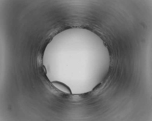 X0000110960287200906191056