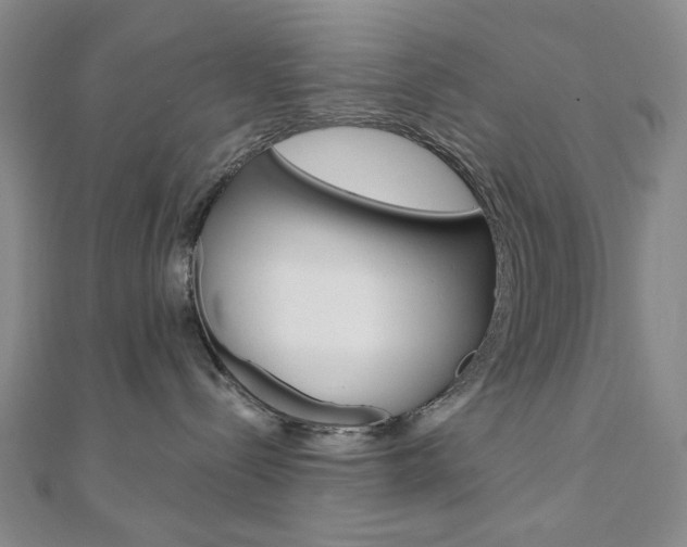 X0000110960288200906191056