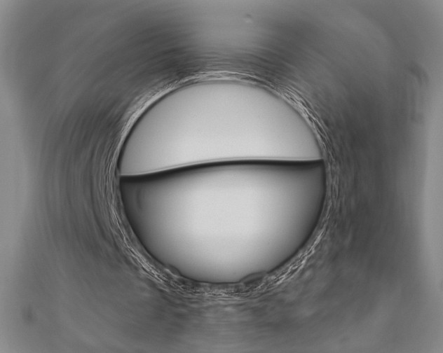 X0000110960289200906191055
