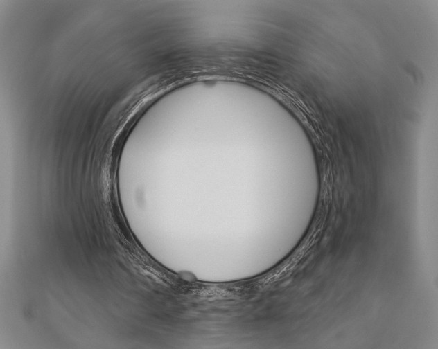 X0000110960290200906191055