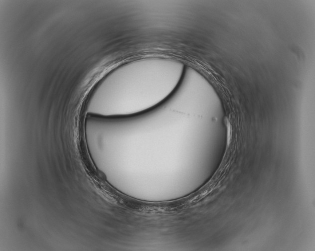 X0000110960291200906191055