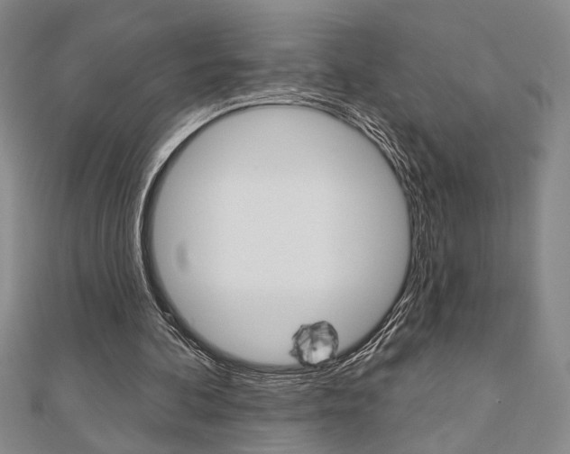 X0000110960292200906191055