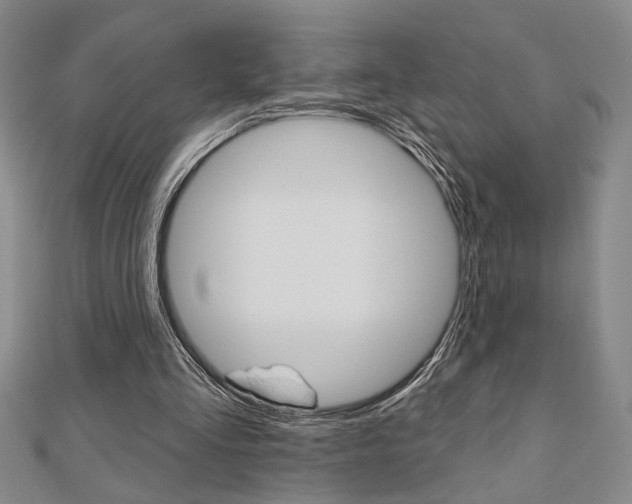 X0000110960293200906191055
