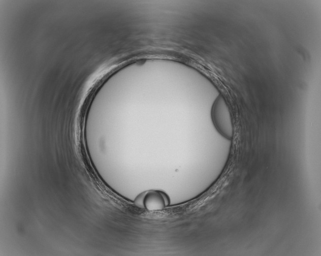 X0000110960294200906191055