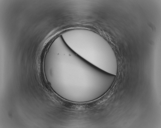 X0000110960295200906191055