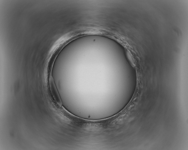 X0000110960296200906191055