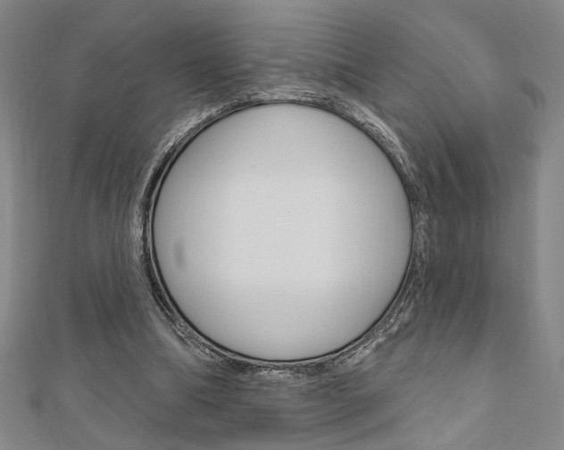 X0000110960298200906191055