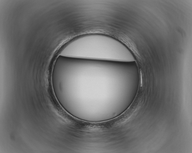 X0000110960300200906191055