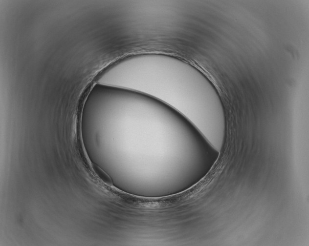 X0000110960301200906191055