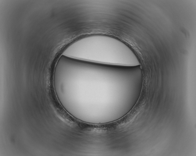 X0000110960303200906191055