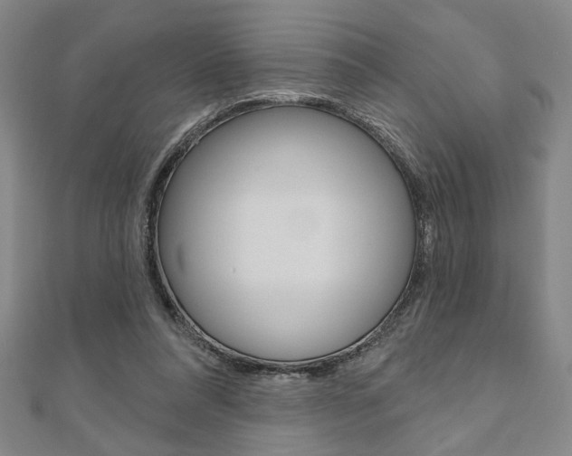 X0000110960304200906191055