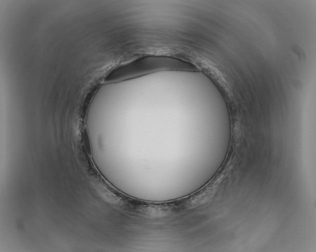 X0000110960305200906191055