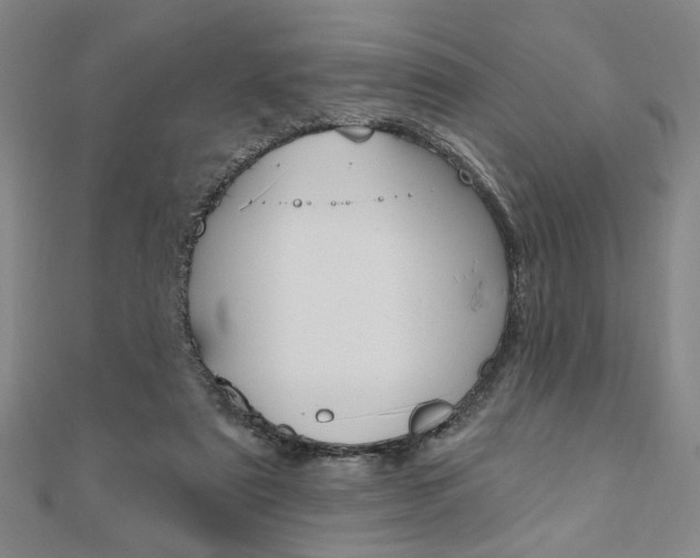 X0000110960307200906191055