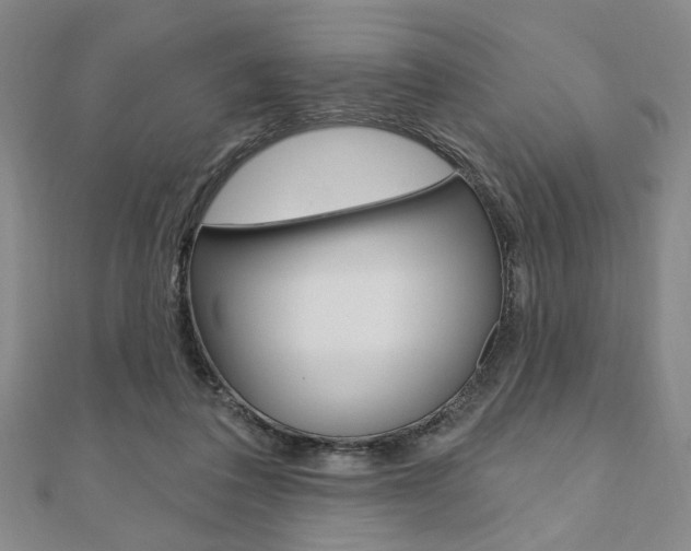 X0000110960308200906191055