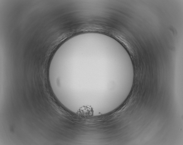 X0000110960309200906191055