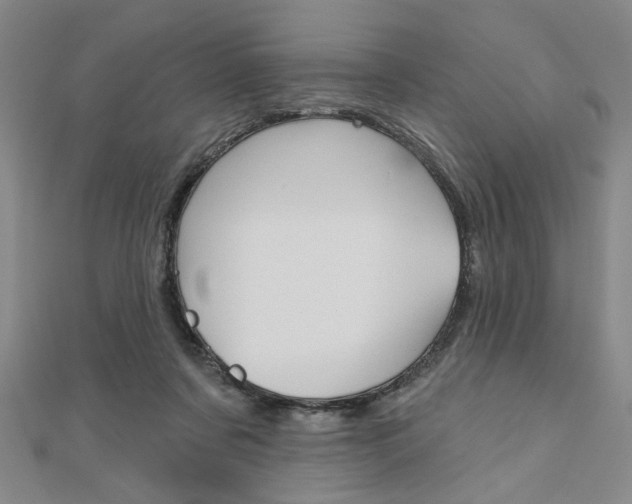X0000110960311200906191055