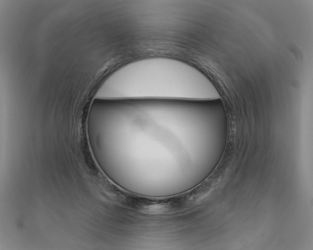 X0000110960312200906191055