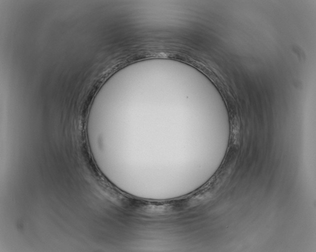 X0000110960314200906191055